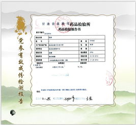 張掖民樂(lè)縣 守正創(chuàng)新筑基石，嚴(yán)把質(zhì)量?jī)傻狸P(guān)